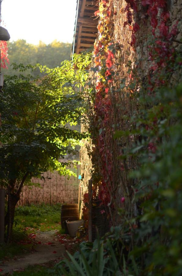 Torre Tanquián Eco Finca - Ribeira Sacra Pantón Esterno foto